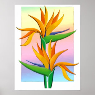 Birds of Paradise with Pastel Rainbow Background ポスター