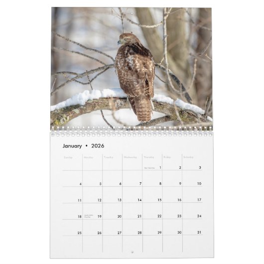 Birds of Prey 2026 カレンダー (1月 2026)