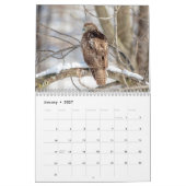 Birds of Prey 2026 カレンダー (1月 2027)