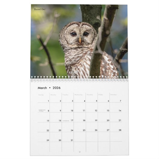 Birds of Prey 2026 カレンダー (3月 2026)