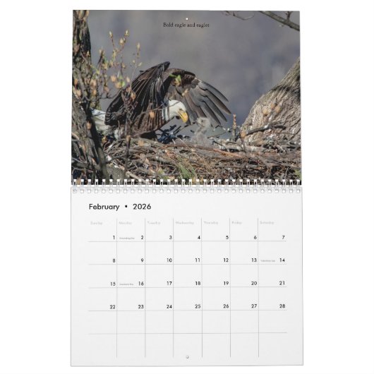 Birds of Prey 2026 カレンダー (2月 2026)