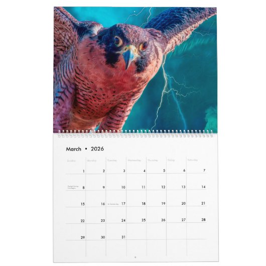 BIRDS OF PREY ART #1 カレンダー (3月 2026)