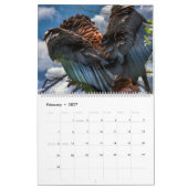 BIRDS OF PREY ART #1 カレンダー (2月 2027)