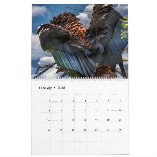 BIRDS OF PREY ART #1 カレンダー (2月 2026)