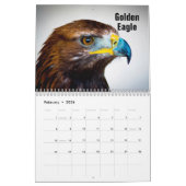 Birds of Prey Calendar カレンダー (2月 2026)