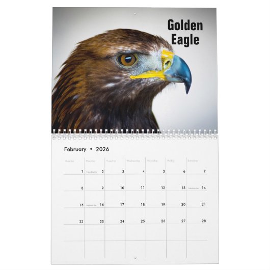 Birds of Prey Calendar カレンダー (2月 2026)