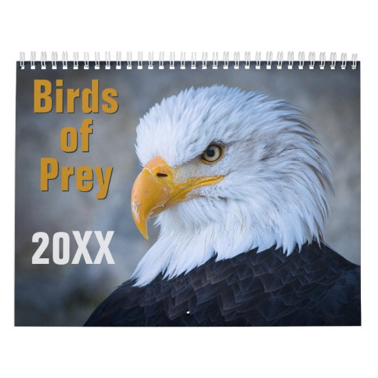 Birds of Prey Calendar カレンダー (カバー)