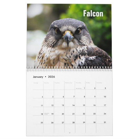 Birds of Prey Calendar カレンダー (1月 2026)