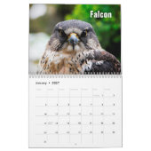 Birds of Prey Calendar カレンダー (1月 2027)