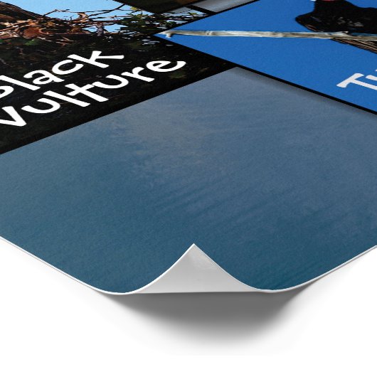 Birds of Prey Poster 19v2 ポスター (角)