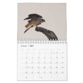 Birds of Prey - Two Page Small Calendar カレンダー (1月 2027)