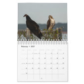 Birds of Prey - Two Page Small Calendar カレンダー (2月 2027)