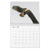 Birds of Prey - Two Page Small Calendar カレンダー (3月 2027)