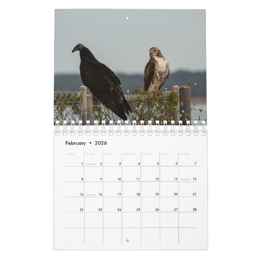 Birds of Prey - Two Page Small Calendar カレンダー (2月 2026)