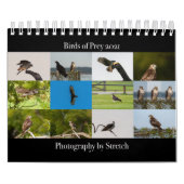 Birds of Prey - Two Page Small Calendar カレンダー (カバー)
