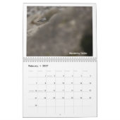 Birds of Southern Alaska and Canada calendar カレンダー (2月 2027)