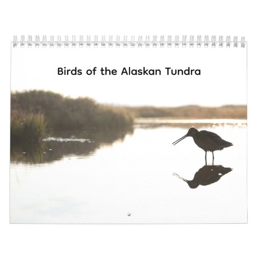 Birds of the Alaskan Tundra Calendar カレンダー (カバー)