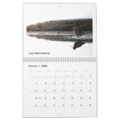 Birds of the Alaskan Tundra Calendar カレンダー (1月 2026)