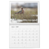 Birds of the Alaskan Tundra Calendar カレンダー (3月 2027)