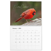 Birds of the Seasons 12 Month Nature Calendar カレンダー (2月 2026)