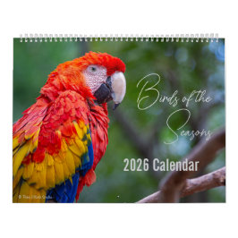 Birds of the Seasons 12 Month Nature Calendar カレンダー