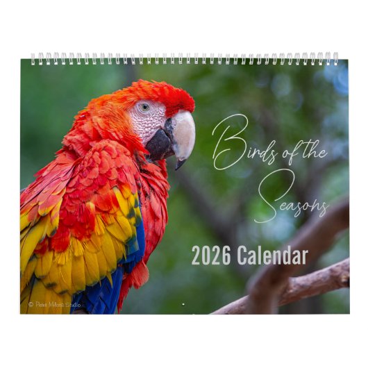 Birds of the Seasons 12 Month Nature Calendar カレンダー (カバー)