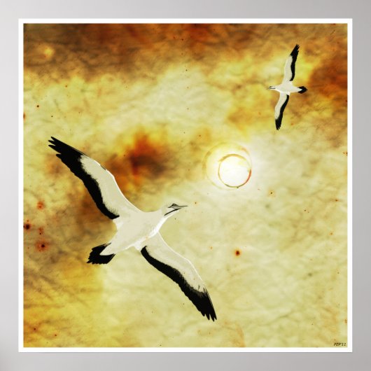 Birds of The Sun ポスター (正面)