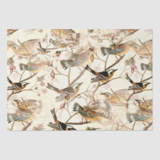Birds on a branch(ブランチ上の鳥) 薄葉紙