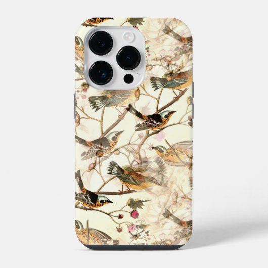 Birds on a branch(ブランチ上の鳥) iPhoneケース (裏面)