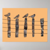 Birds on a wire ポスター (正面)