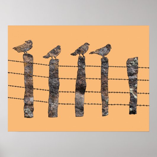 Birds on a wire ポスター (正面)