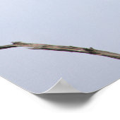 Birds on Branchポスター ポスター (角)