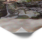 Birds on Rocks Photo Poster ポスター (角)