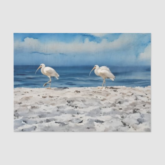 Birds on the Beach Tissue Paper 薄葉紙 (正面)