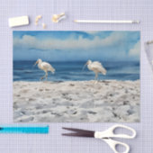 Birds on the Beach Tissue Paper 薄葉紙 (クラフト)