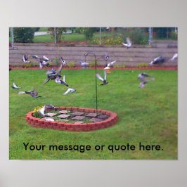 Birds Pigons Yard飛んでいる Your Text Posts ポスター