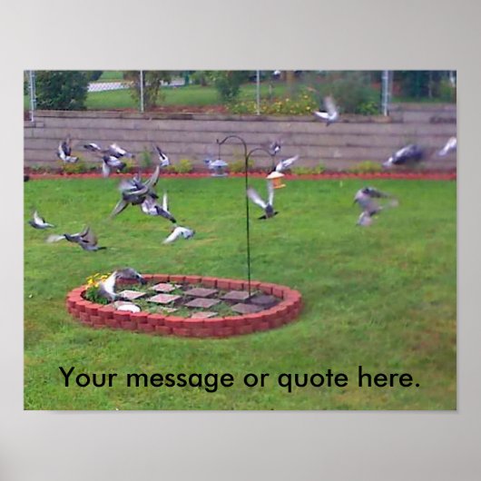 Birds Pigons Yard飛んでいる Your Text Posts ポスター (正面)