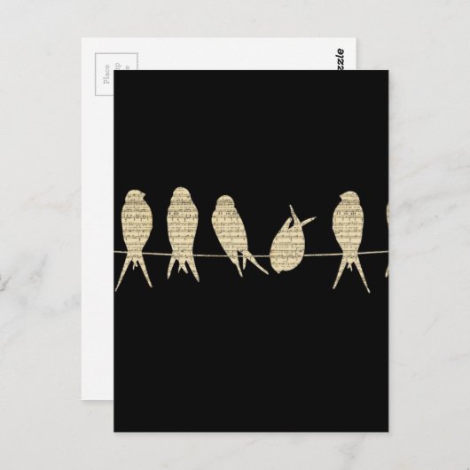 birds-wire-musical-notes.jpg ポストカード (正面/裏面)
