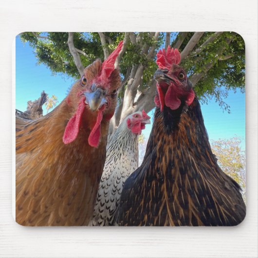 Birds with Attitude Mouse Pad マウスパッド (正面)