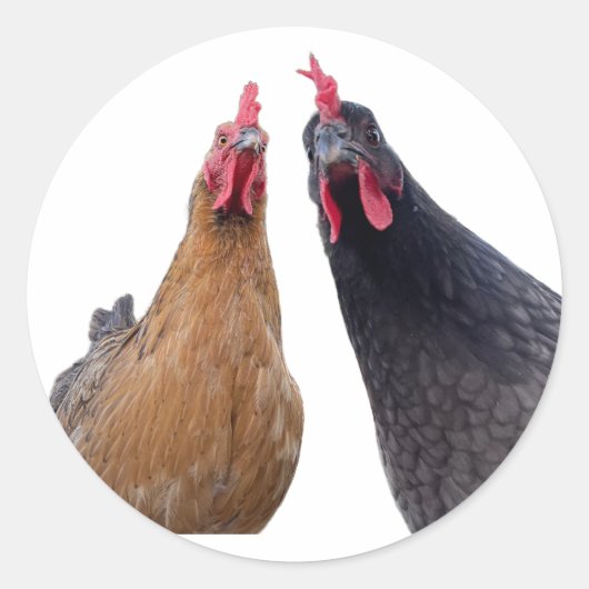 Birds with Attitude Sticker ラウンドシール (正面)