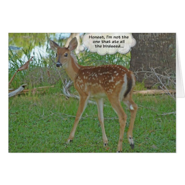 birdseedについて考えているシカ (正面横)