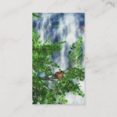 Birdsnest滝 名刺 (裏面)