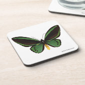 Birdwingの緑の蝶 コースター (左側)