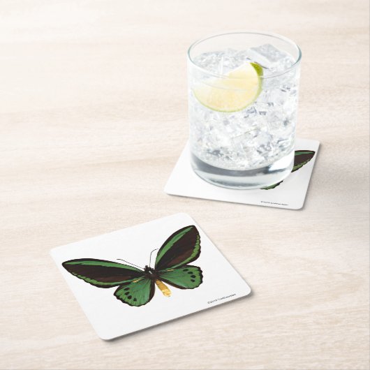 Birdwingの緑の蝶 スクエアペーパーコースター (インサイチュ)
