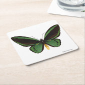 Birdwingの緑の蝶 スクエアペーパーコースター (アングル)
