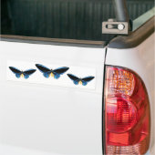 Birdwingの蝶 バンパーステッカー (トラック上)