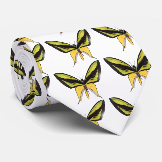 BirdWingXの蝶 ネクタイ (ロール)