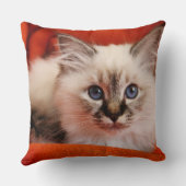 Birmanの神聖な子ネコ クッション (裏面)