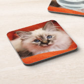 Birmanの神聖な子ネコ コースター (左側)