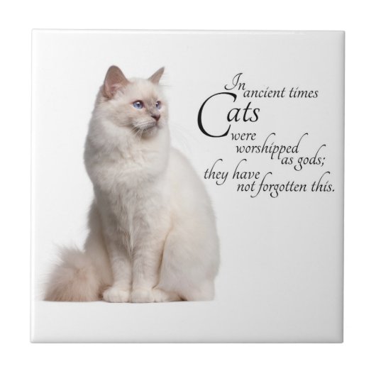 Birman猫のタイル タイル (正面)